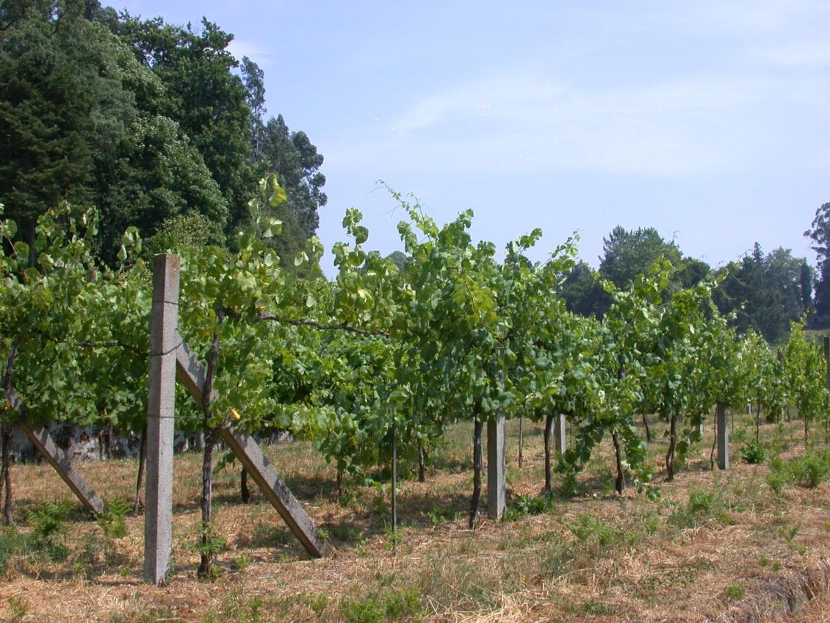 فيلا لوسادافي Quinta Da Tapada المظهر الخارجي الصورة