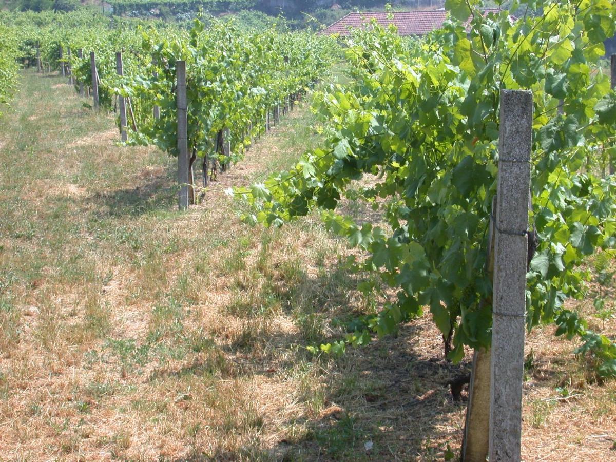 فيلا لوسادافي Quinta Da Tapada المظهر الخارجي الصورة