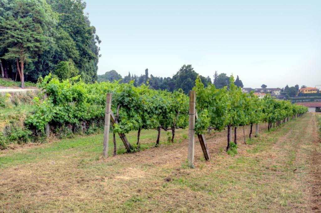 فيلا لوسادافي Quinta Da Tapada المظهر الخارجي الصورة